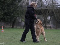 Bendix Obedience Workshop beim VdH Mauer 2016 (108)